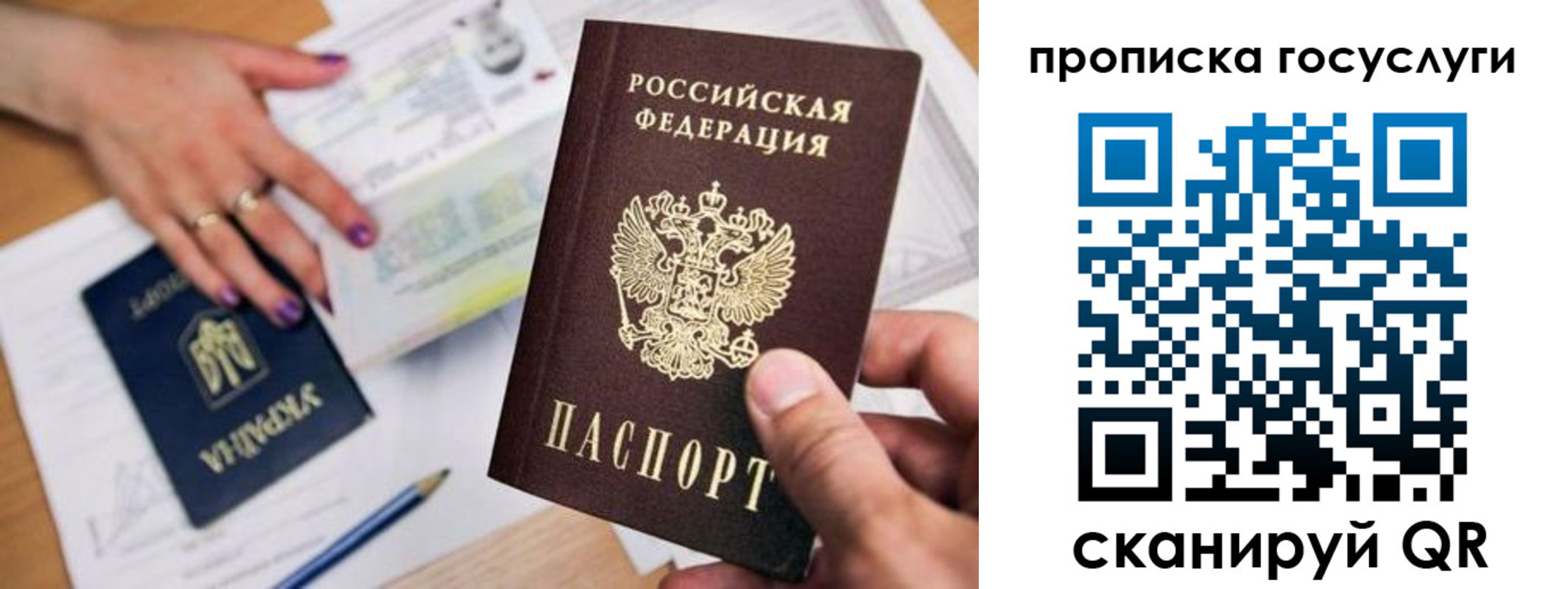 временная прописка в Тимашёвске